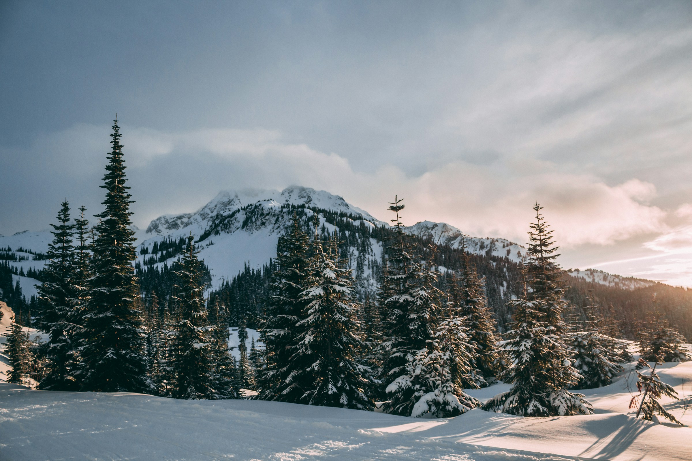 Vinterlandskab med snedækkede fyrretræer og bjerge ved solnedgang i Whistler, Canada.