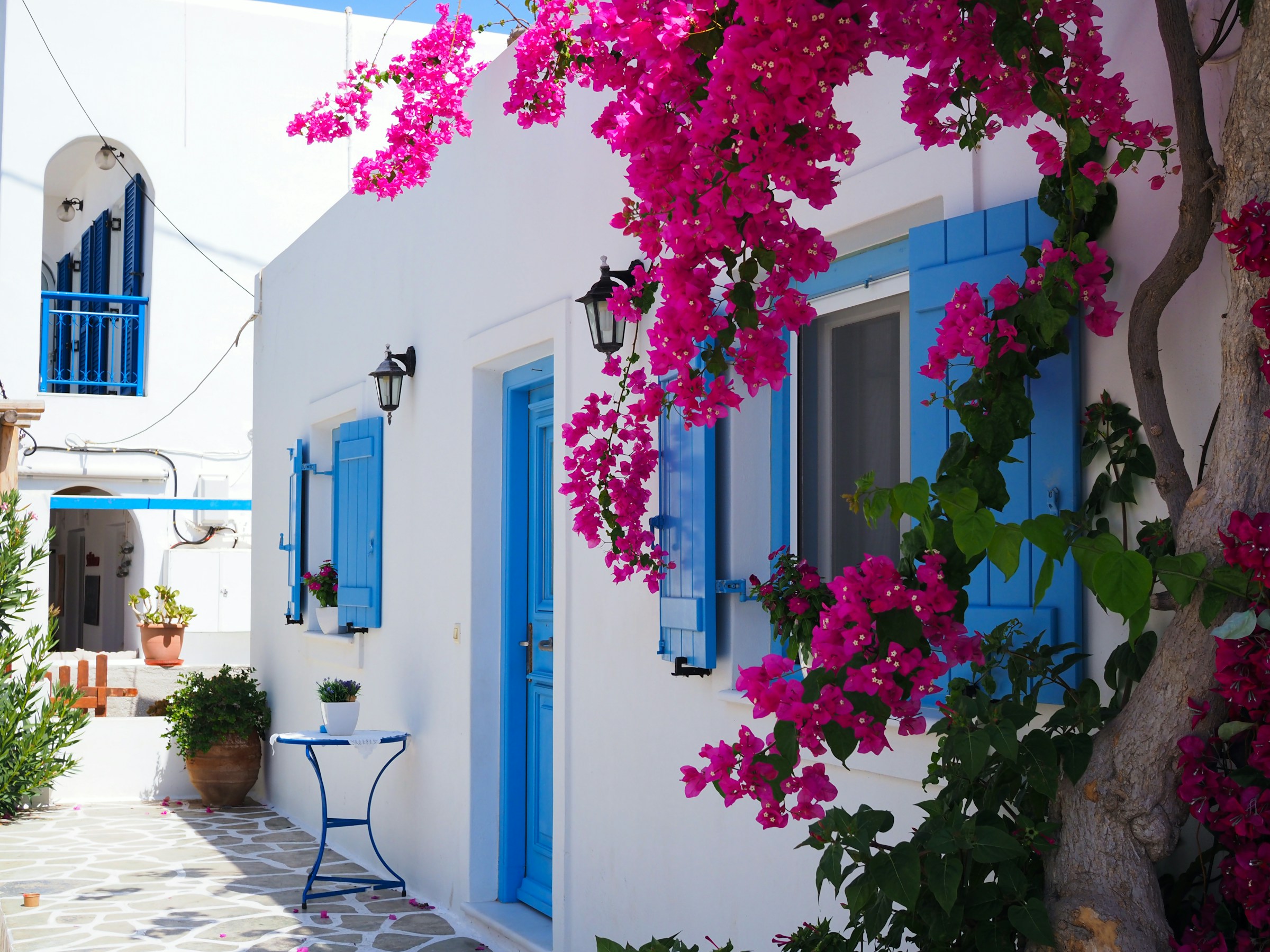Gade med hvid bygning og lyserøde blomster i Mykonos by