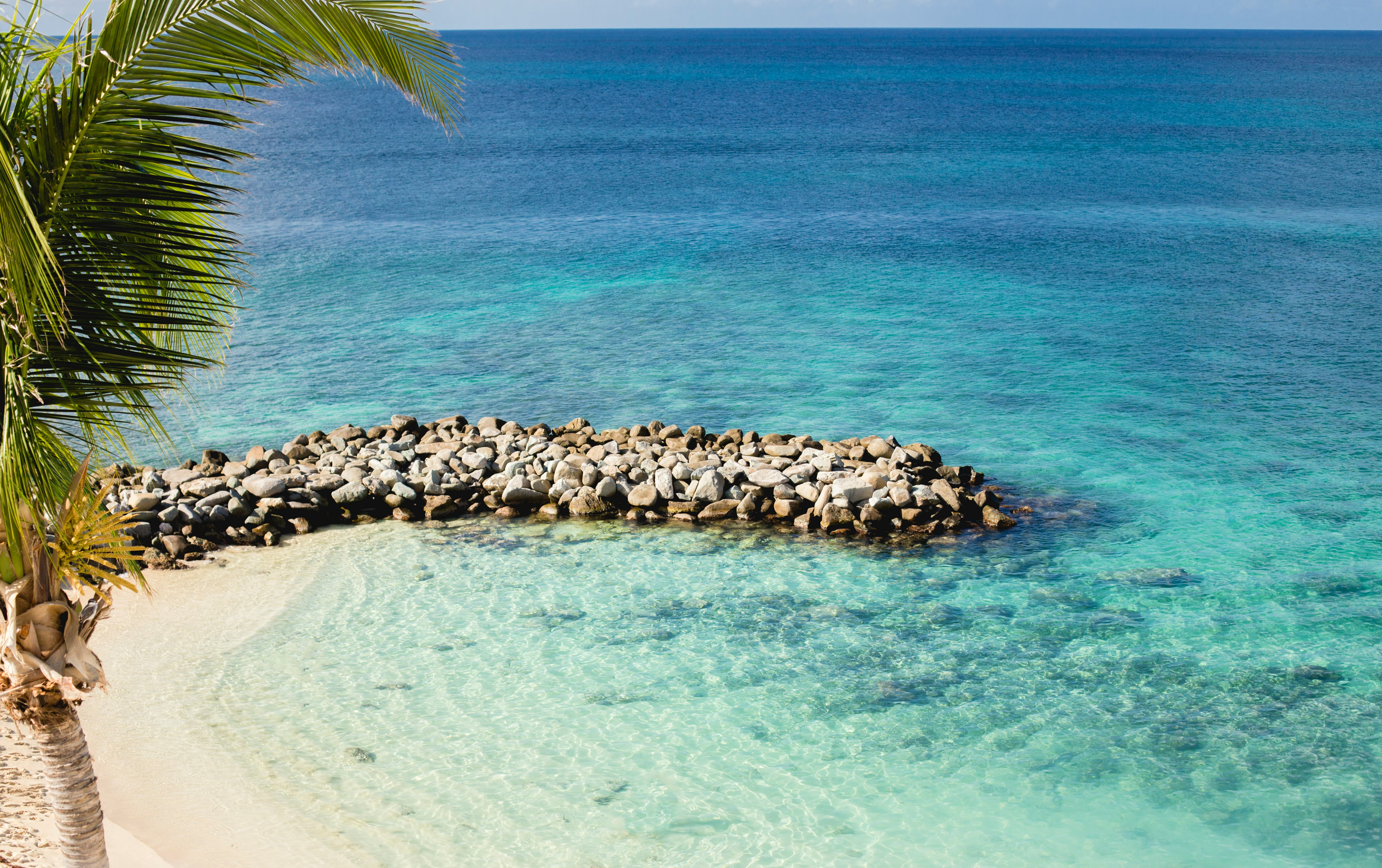 Tropisk strand med klart turkisblåt vand, palmetræ og en stenmole ved kysten