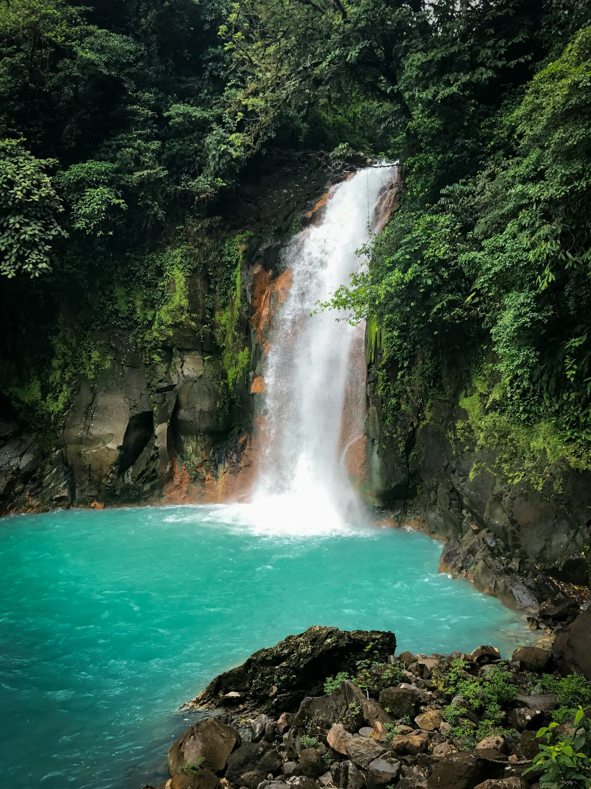 Waterfall cascading into a vibrant turquoise pool surrounded by lush green foliage and rocky cliffs.