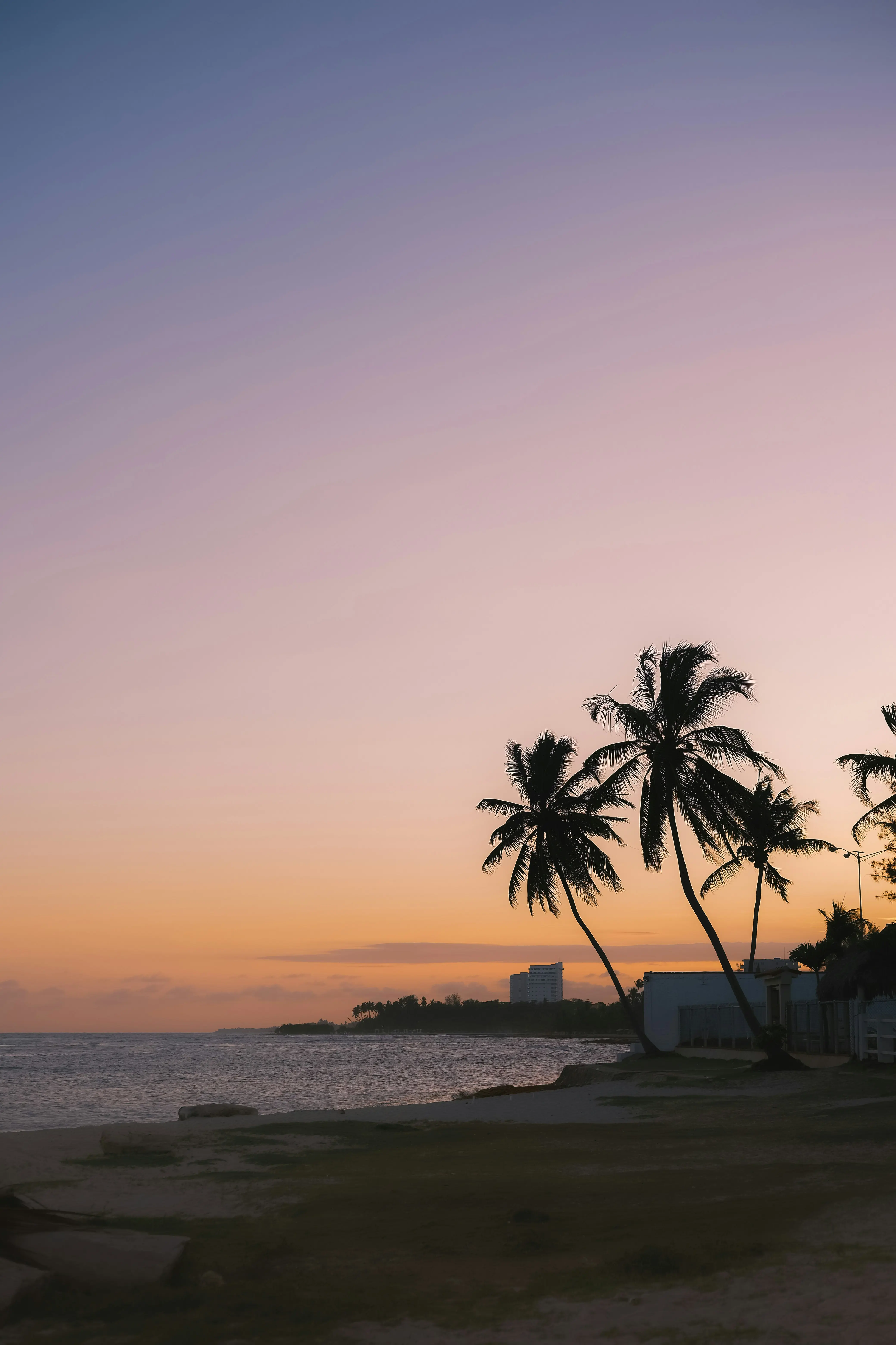 Solnedgang ved stranden med palmetræer i silhuet og en klar himmel