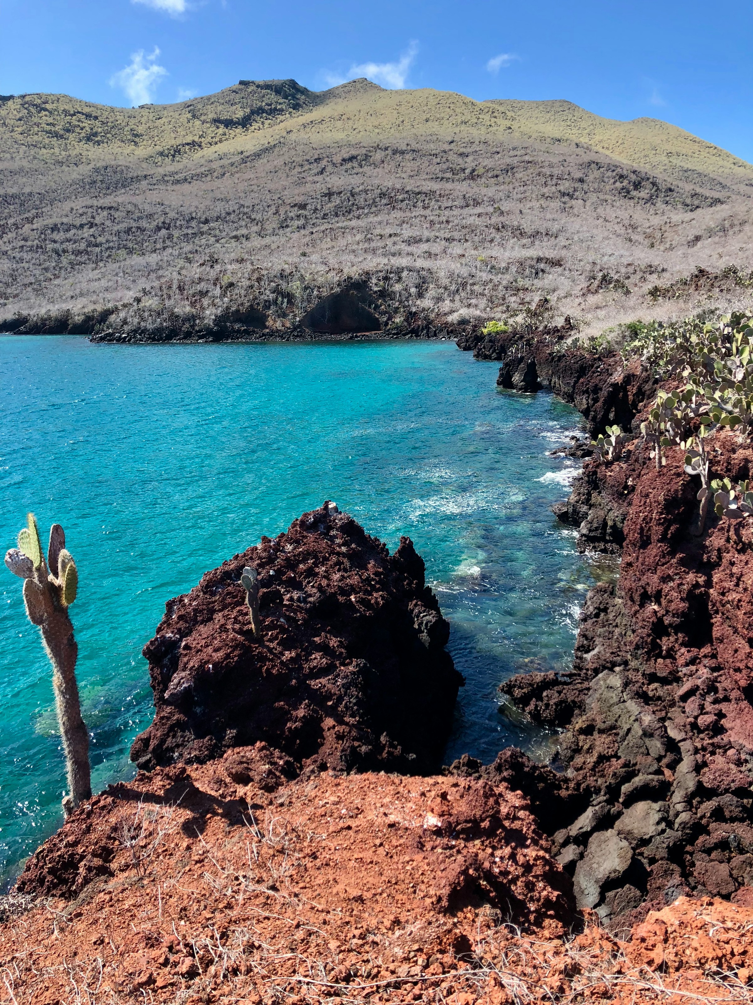 Scenic view of rugged red volcanic cliffs along the turquoise sea at Bartolomé Island, Galápagos, with cactus vegetation under a clear blue sky.