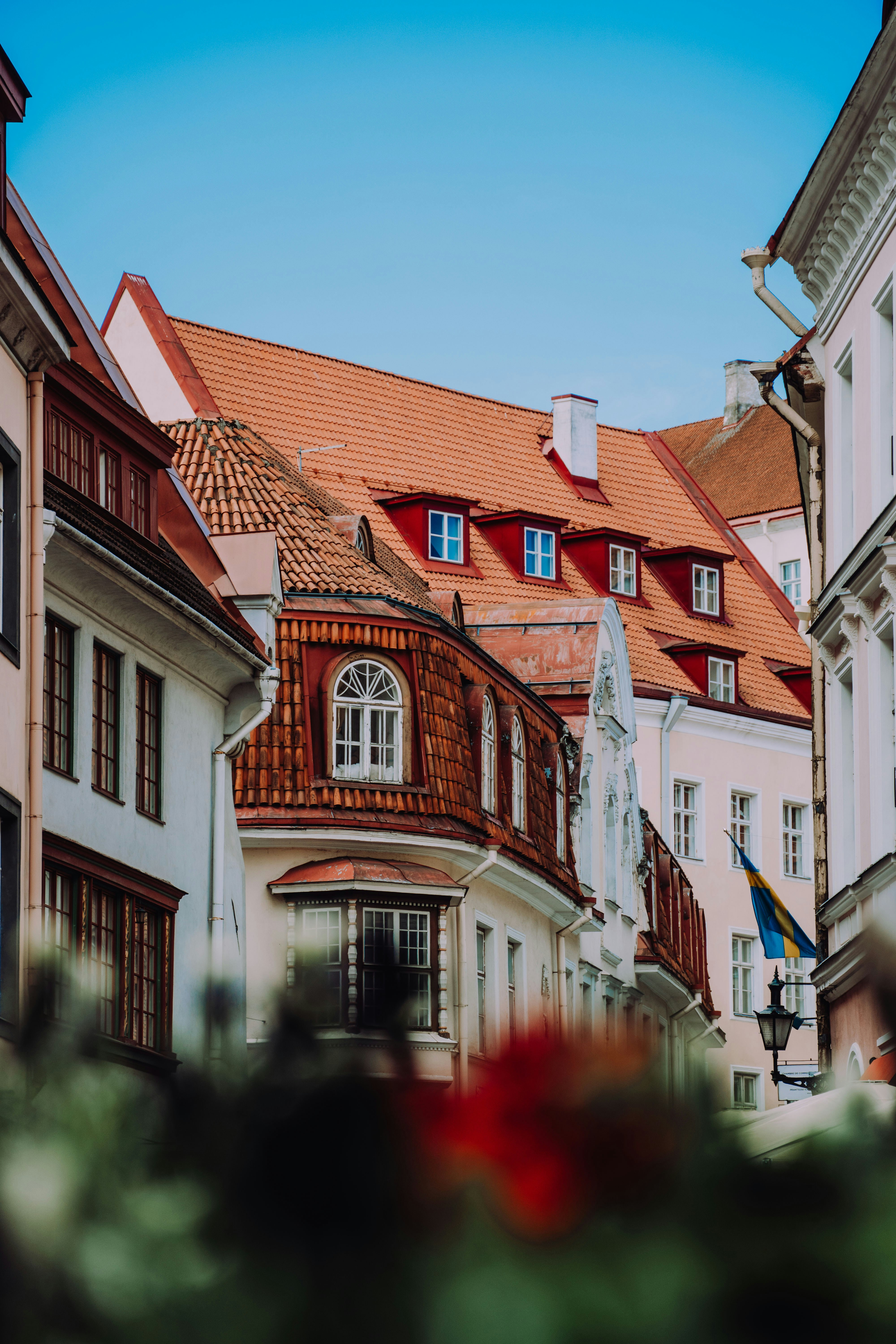 Historiske bygninger med røde tegltage i en europæisk by, set fra en gade med blomster i forgrunden og en blå himmel i baggrunden