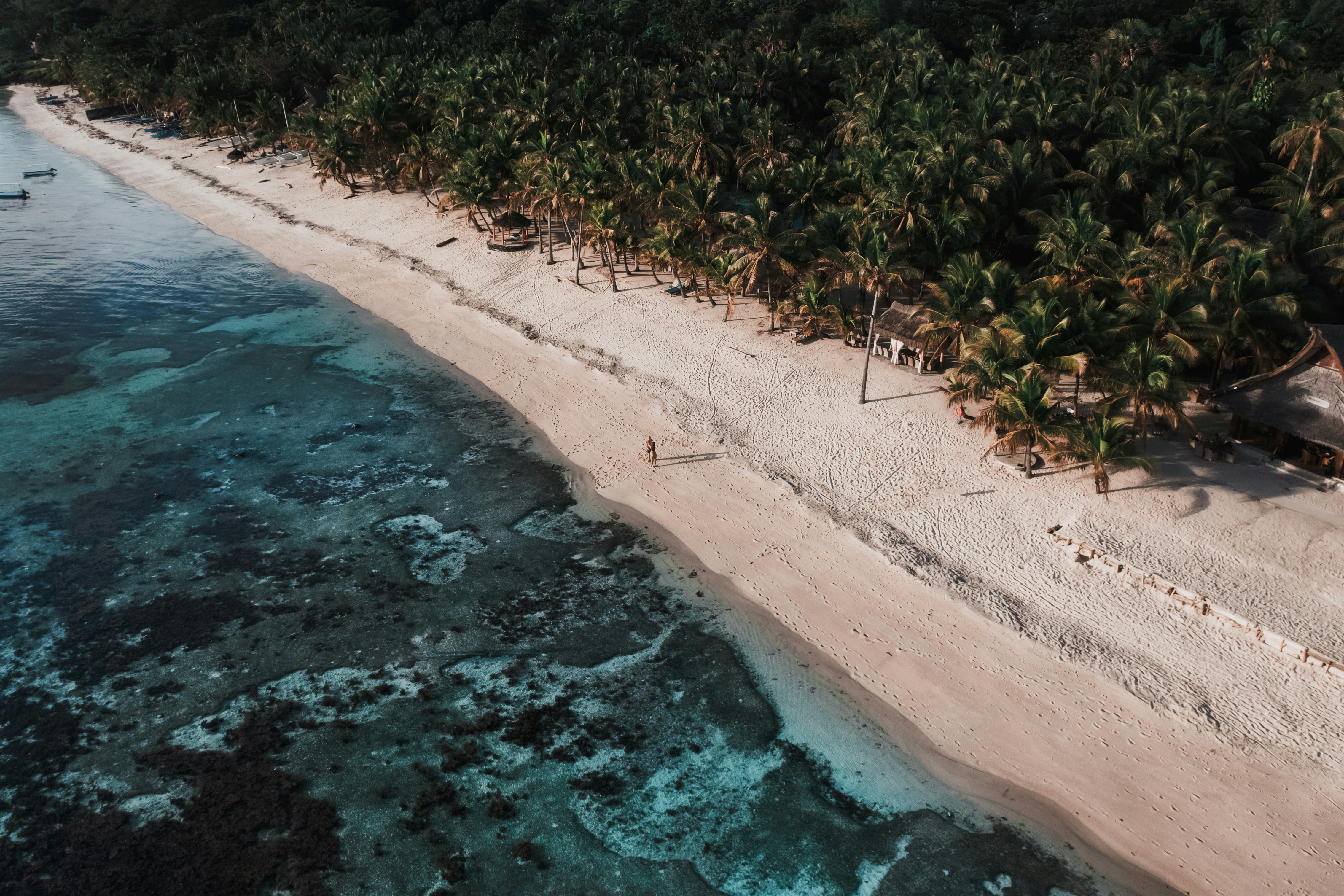 Luftfoto af tropisk strand med hvidt sand og turkisblåt vand, omgivet af grønne palmetræer på en solrig dag