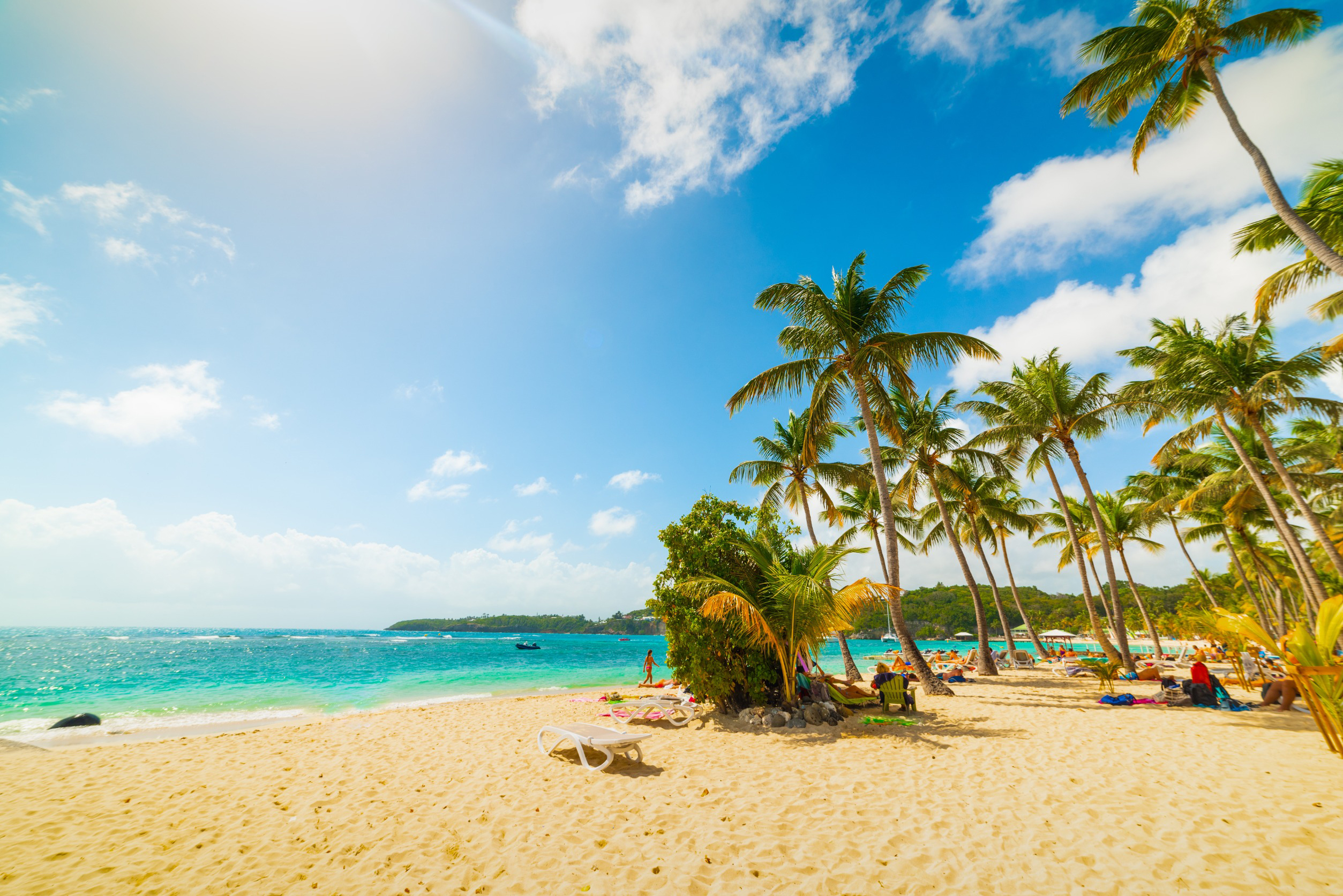Travel to Guadeloupe - Tropical beach scene with clear blue sky, palm trees, and turquoise ocean waters, perfect for a relaxing summer vacation.