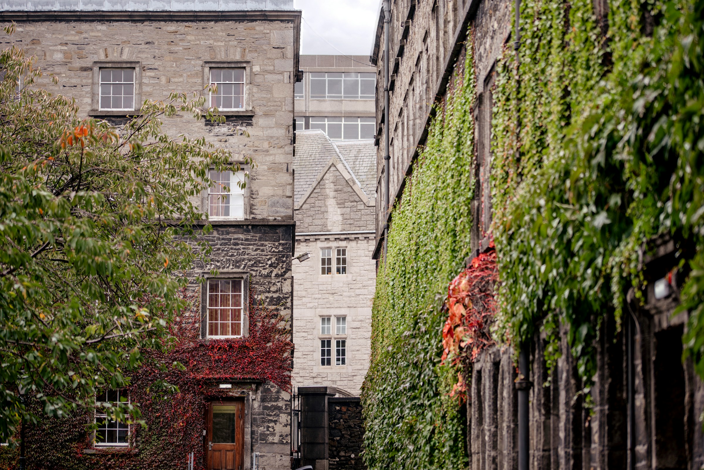 Historic stone buildings with ivy-covered walls in a narrow alley, creating a picturesque, old-world ambiance.