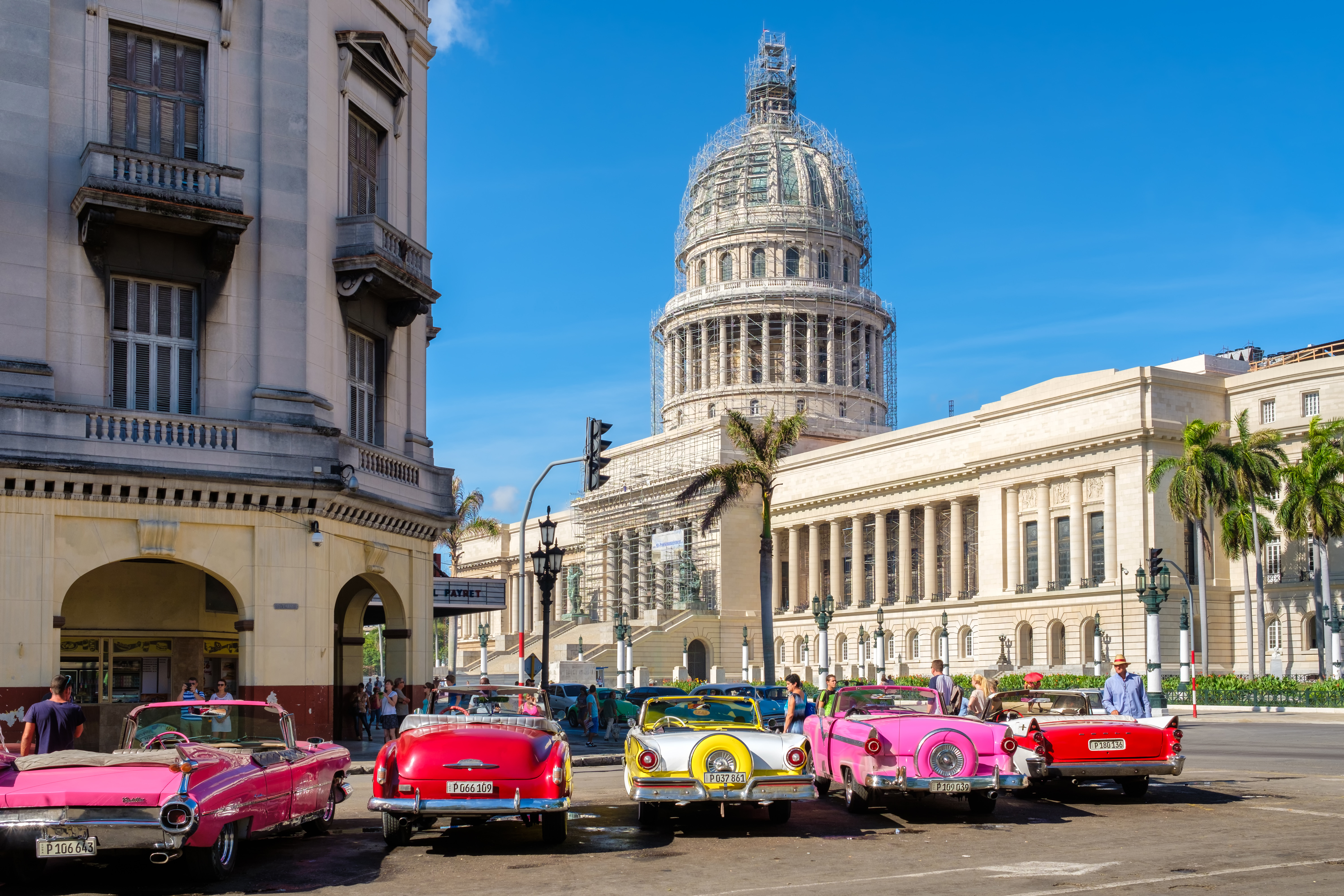 Farverige klassiske biler parkeret foran Havanas Capitol-bygning i Cuba, med klar blå himmel og palmer