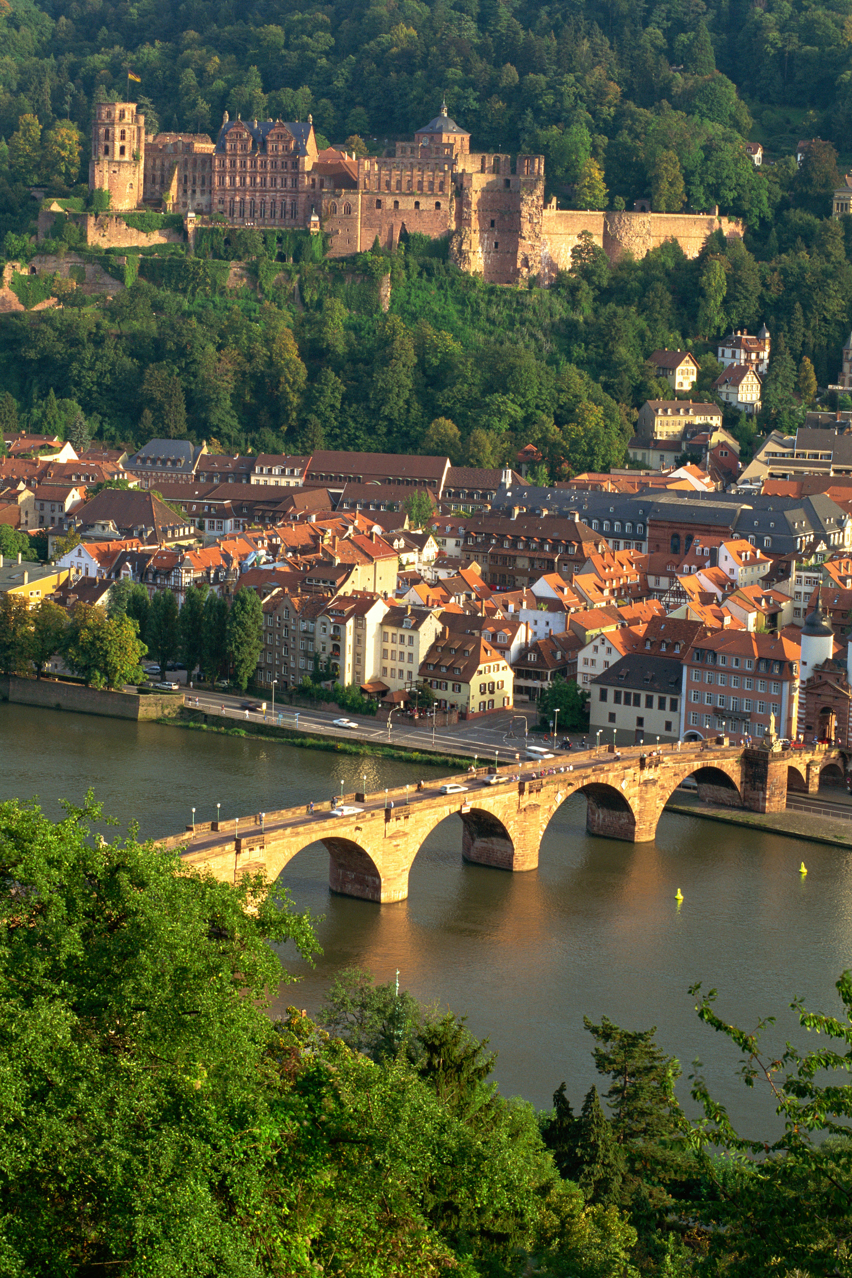 Heidelberg Slot og den gamle bro over Neckar-floden i Heidelberg, Tyskland, omgivet af frodige grønne bakker og historiske bygninger