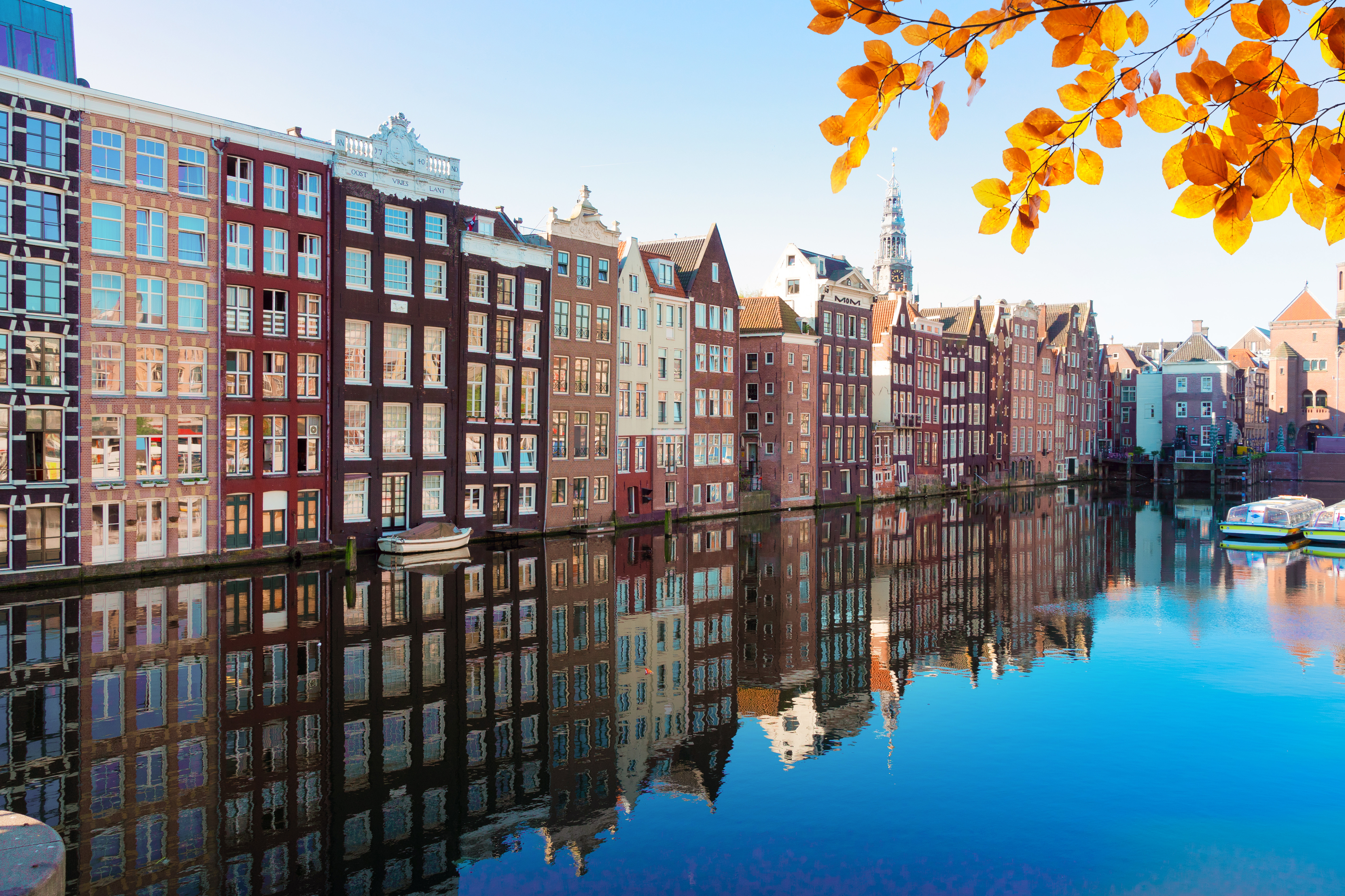 Kanal i Amsterdam med traditionelle huse reflekteret i vandet, efterårsløv i forgrunden