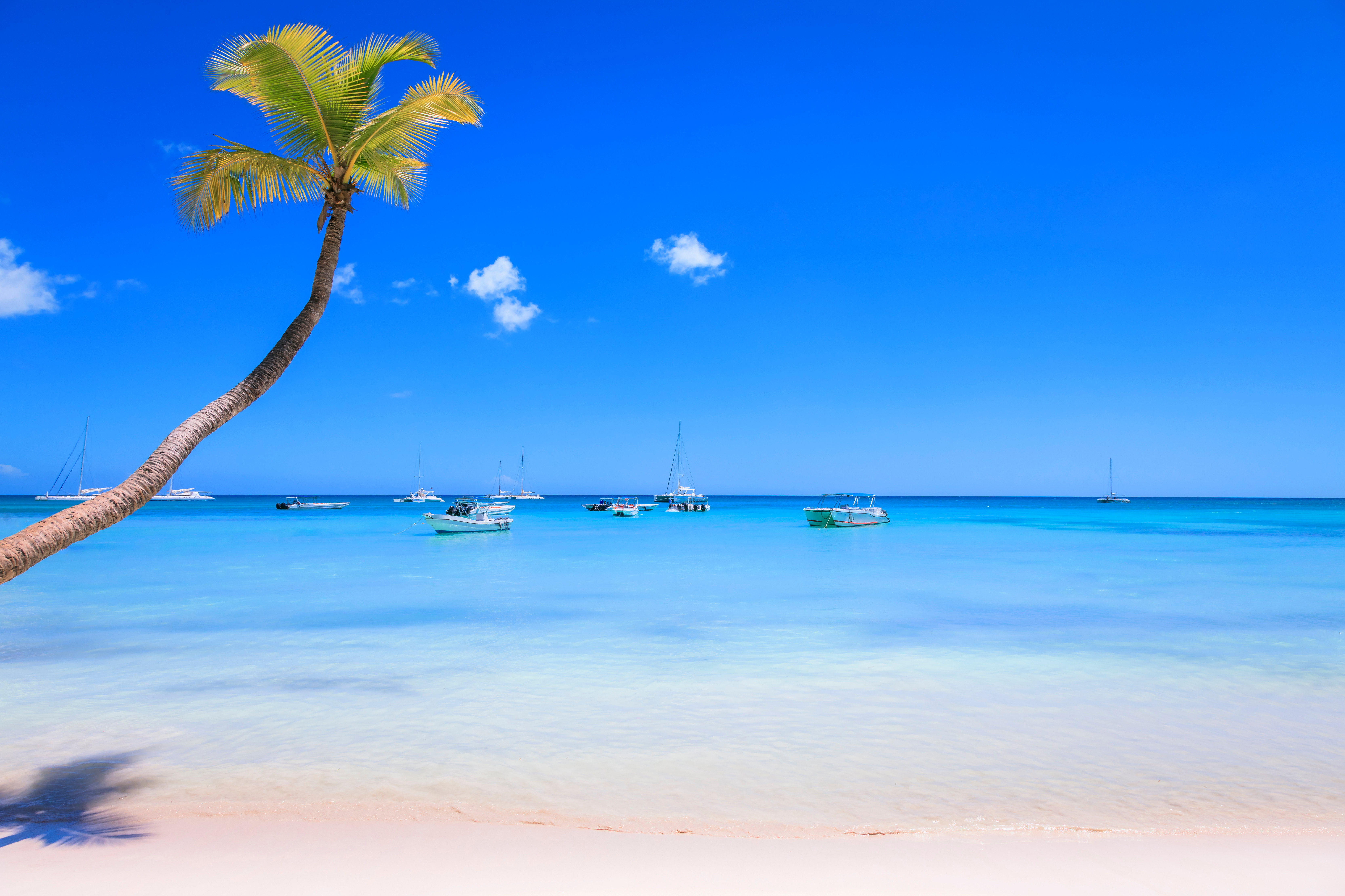 Tropisk strand med en palme og både på det rolige, klare blå hav under en lys blå himmel