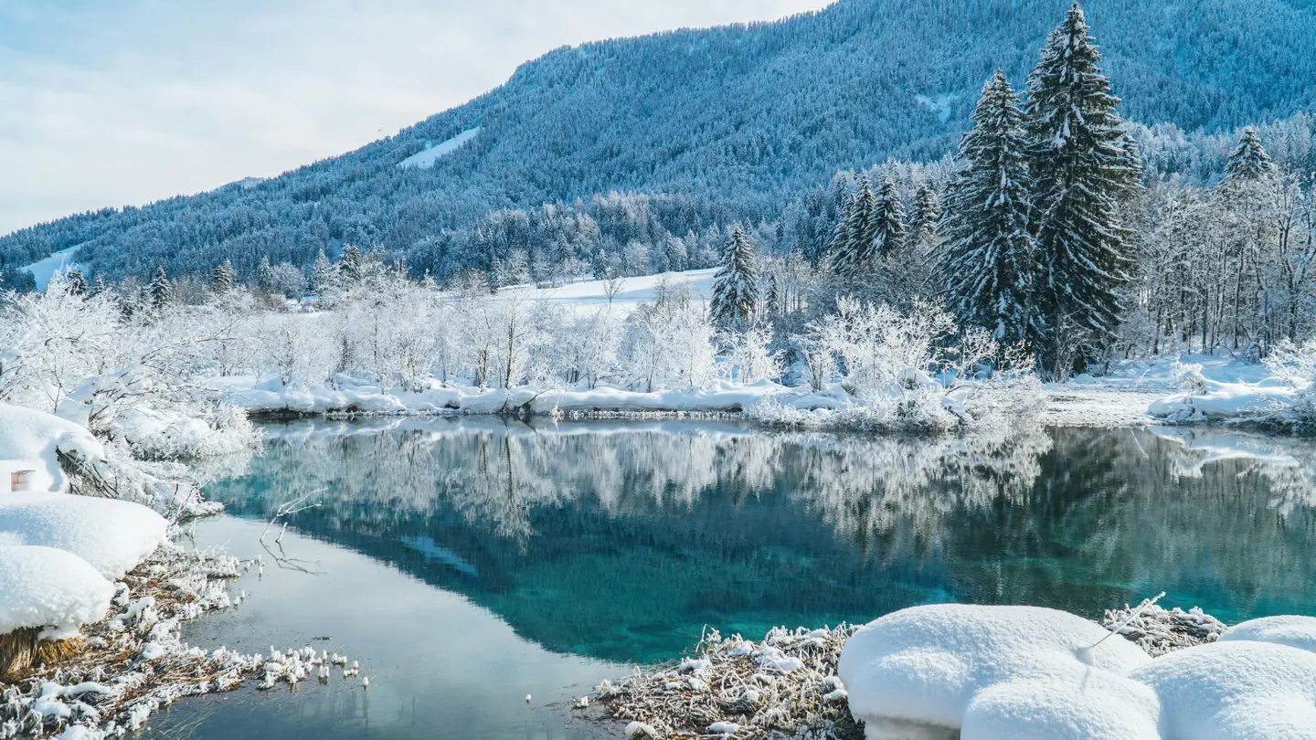 Rejser Til Kranjska Gora Alt Til Din Destination FOREX rejser-til-kranjska-gora-alt-til-din-destination-forex