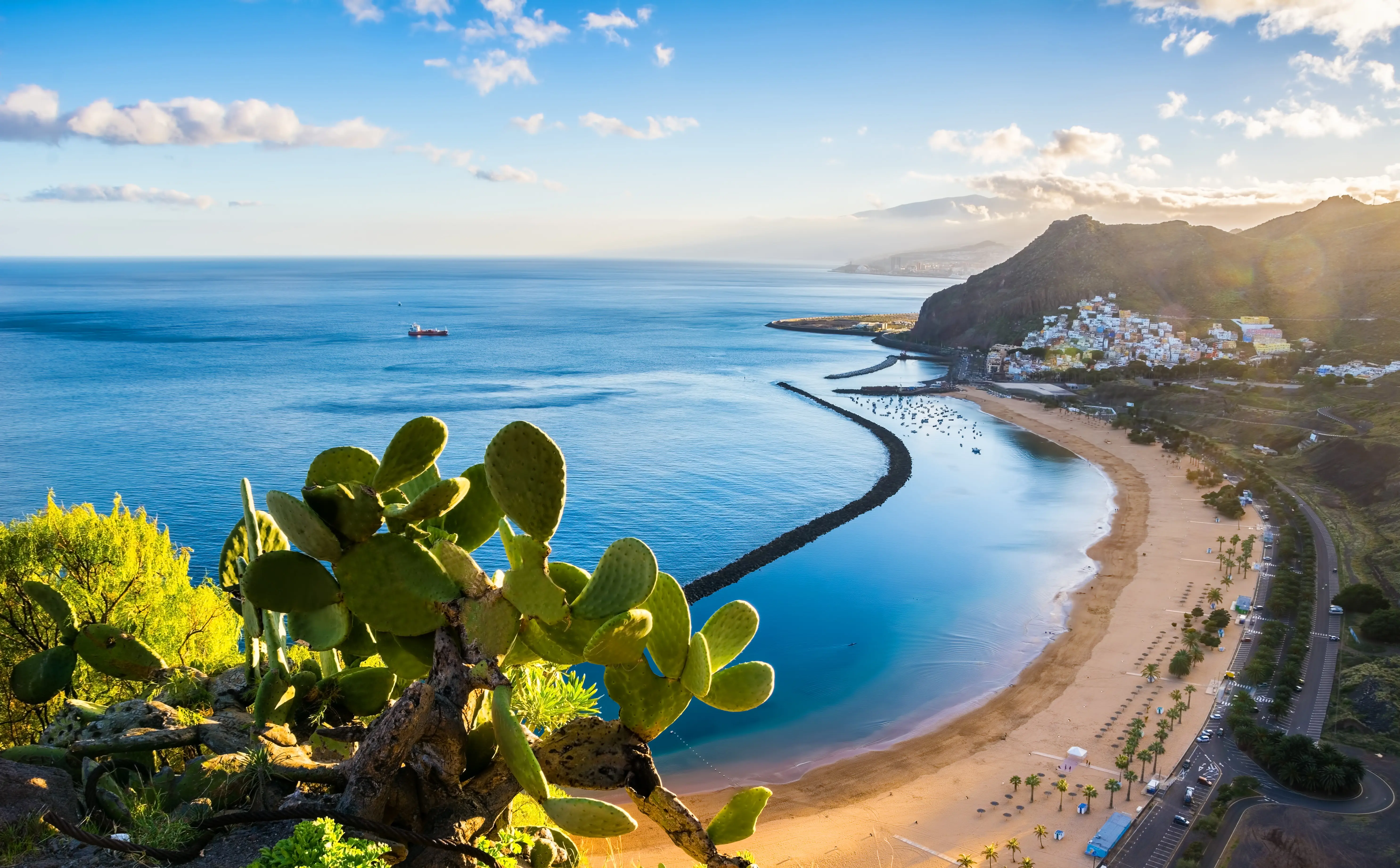 Scenisk udsigt over Las Teresitas-stranden i Tenerife med gylden sandstrand, blåt hav og klipper med kaktus i forgrunden under en klar himmel