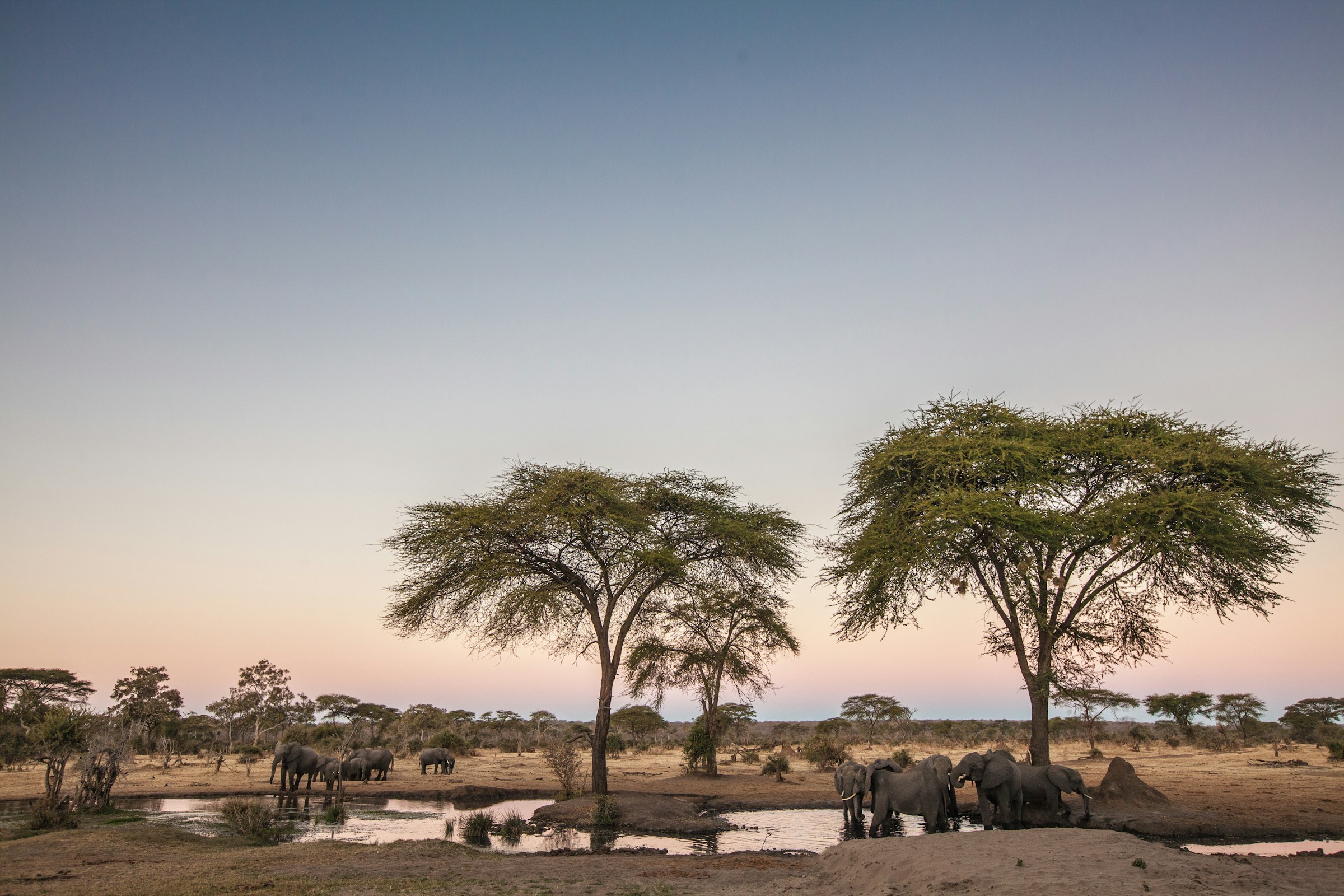 Sunset over a plain in the wilderness with trees meeting the night sky outside Dodoma in Tanzania