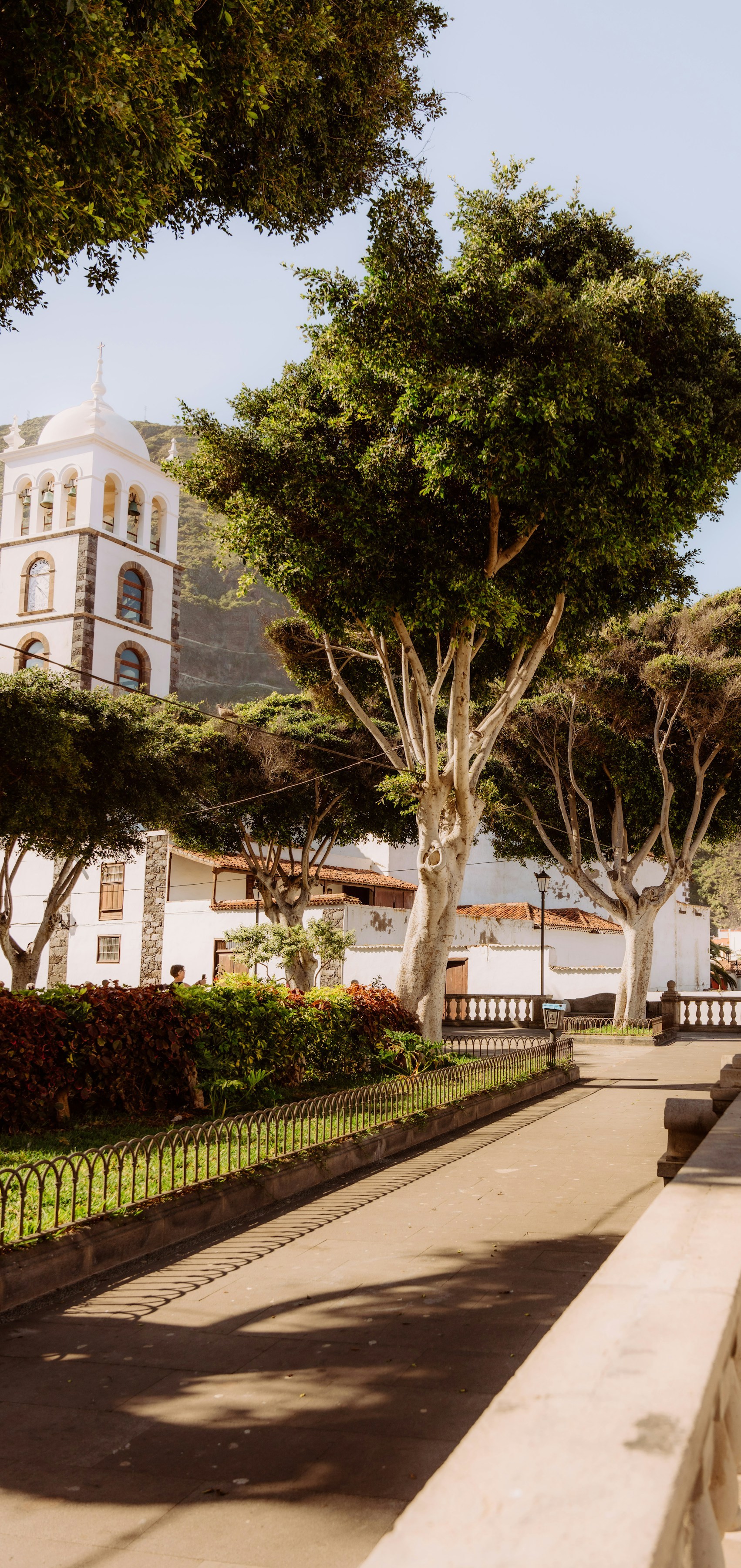 Smuk bypark med grønne træer og historisk bygning i baggrunden på en solskinsdag