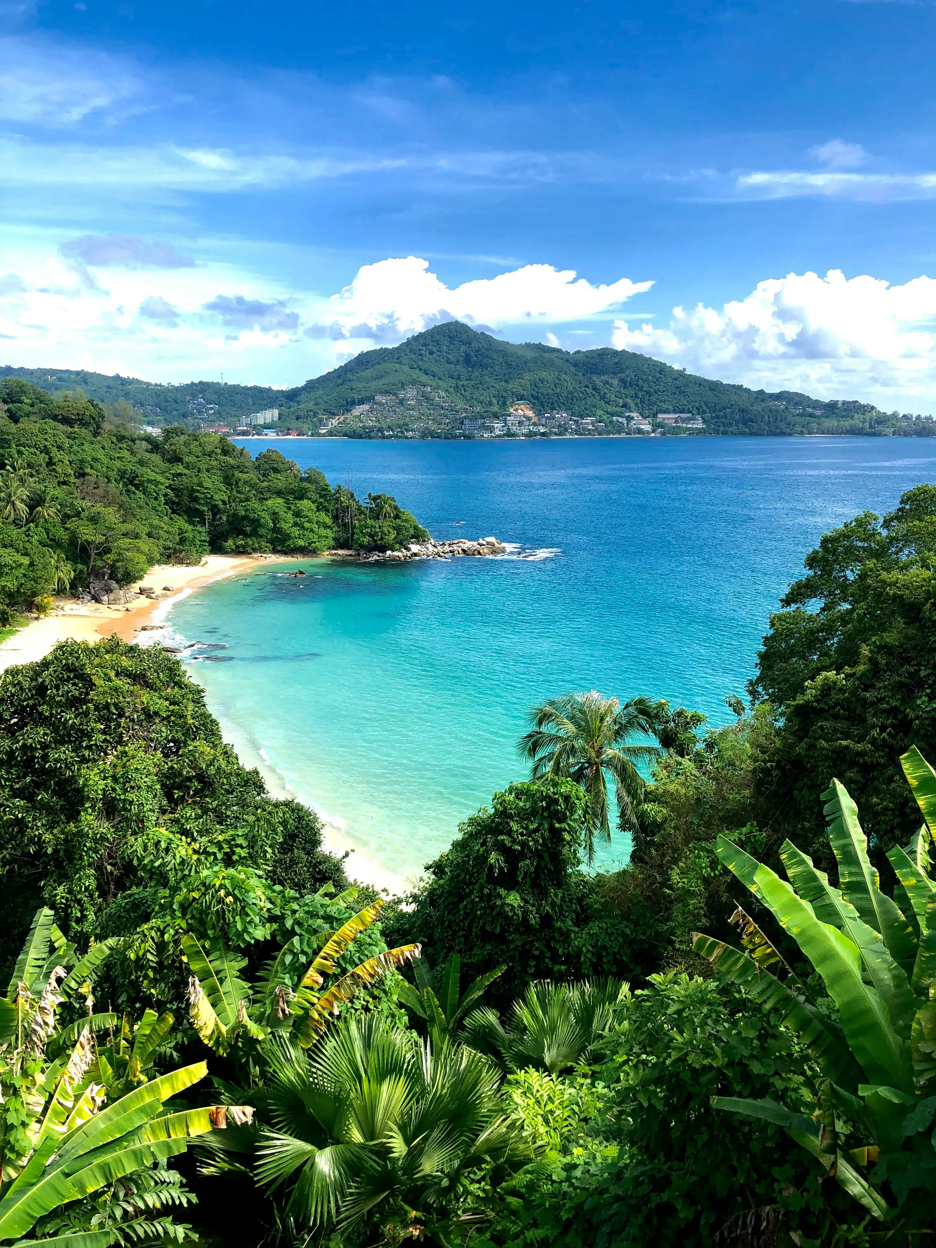 Tropisk strand med turkisblåt vand, frodige grønne palmer og et bjerg i baggrunden under en klar blå himmel i Phuket, Thailand