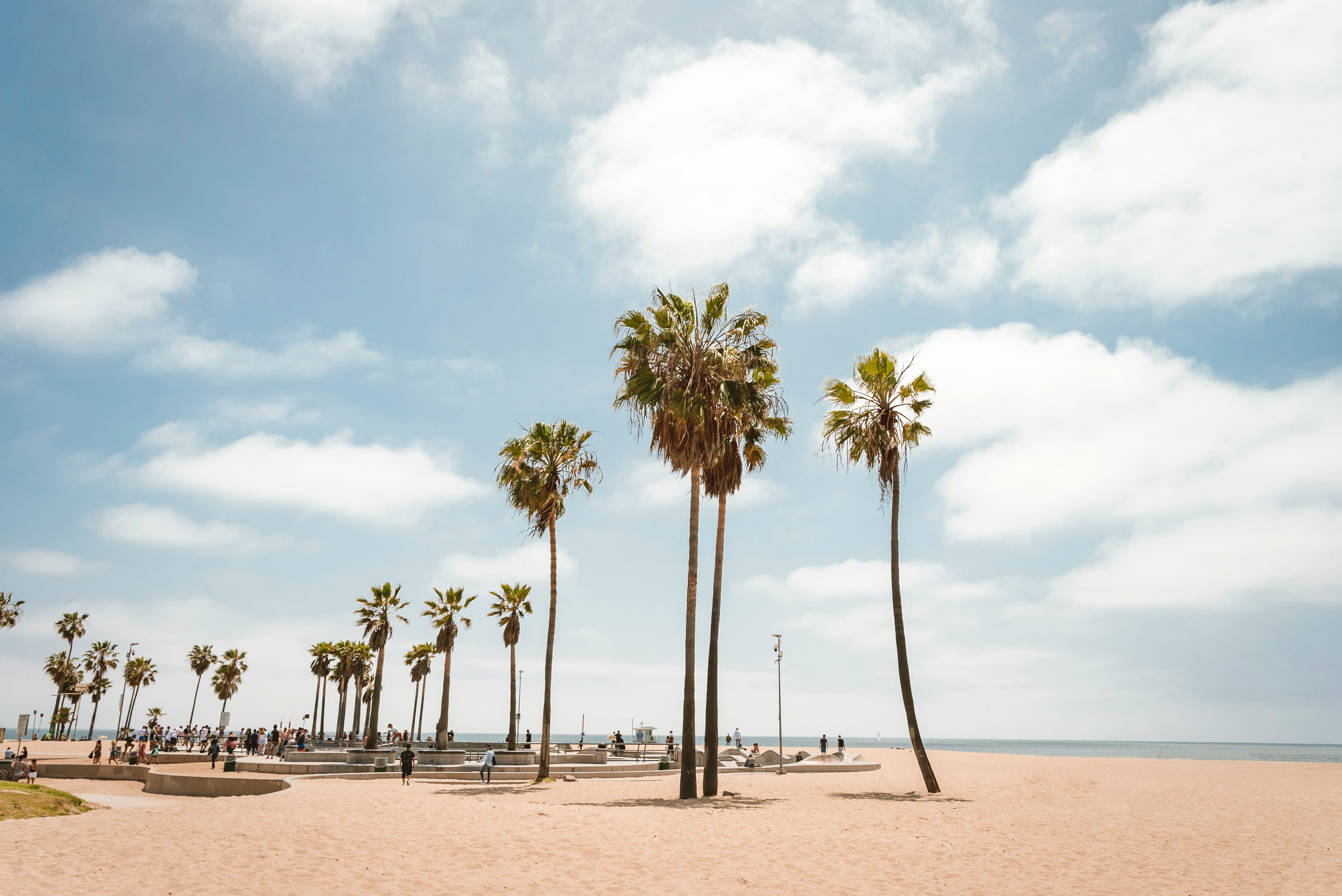 Solrig strandlandskab med høje palmer og en blå himmel, Venice Beach, Californien